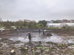 信阳河道鱼塘清淤